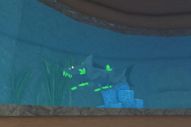 Гайд по максимальному уровню в Fisch: как достичь 1000 уровня и награды